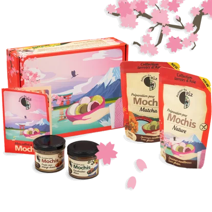 Mon coffret à mochis - kit pour faire des mochis maison